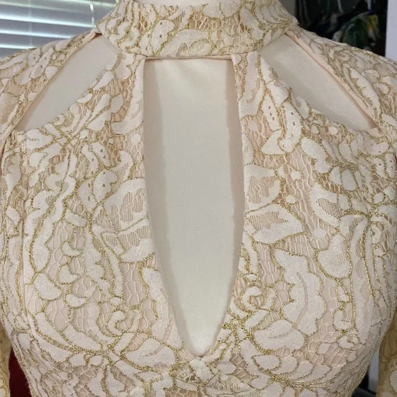 NWT Bebe mocked neck gold lace dress S - Picture 2 of 3